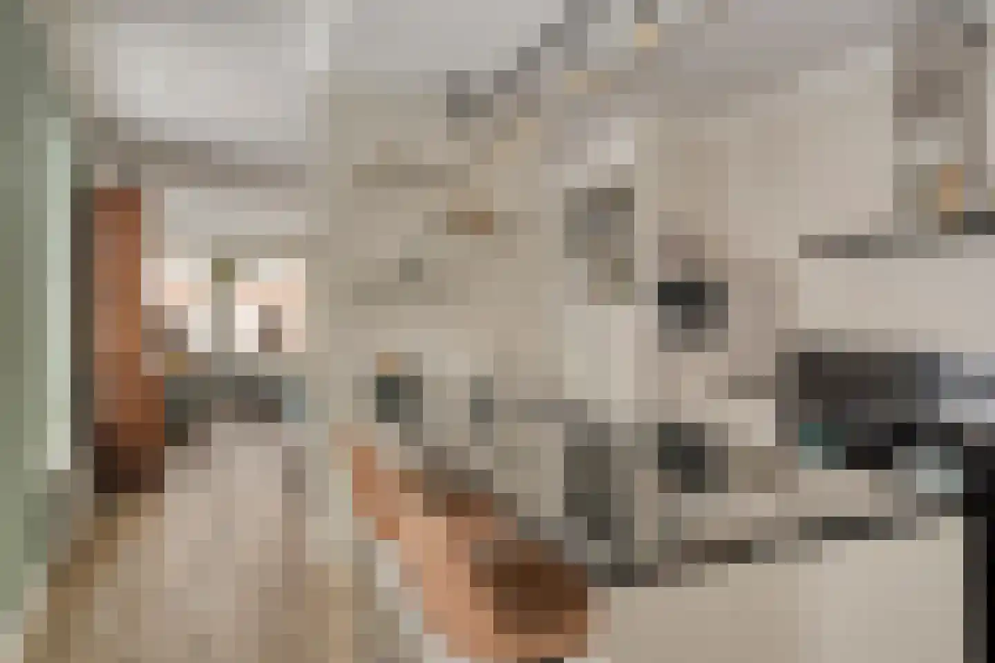Torenstraat 18 Oss thumbnail 7