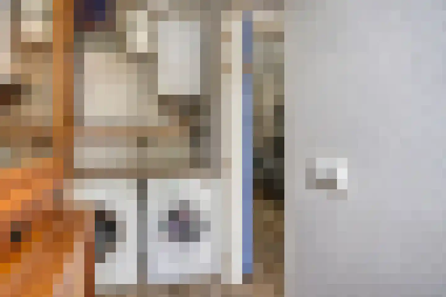 Torenstraat 18 Oss thumbnail 9