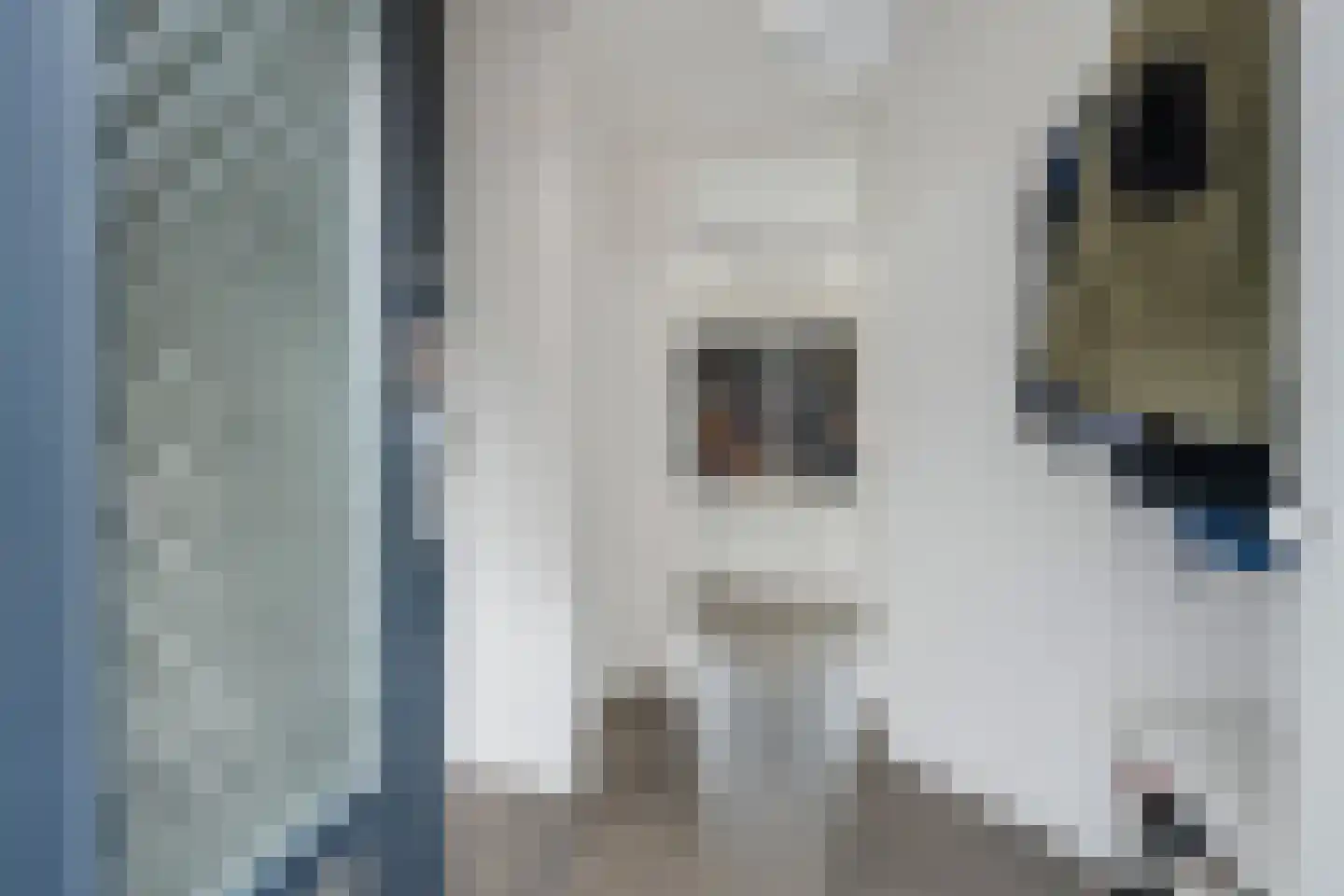 Torenstraat 180 C Wildervank thumbnail 7