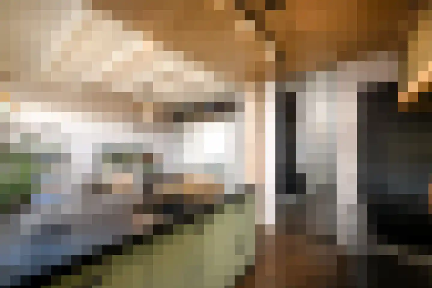 Torenstraat 19 Drachten thumbnail 14