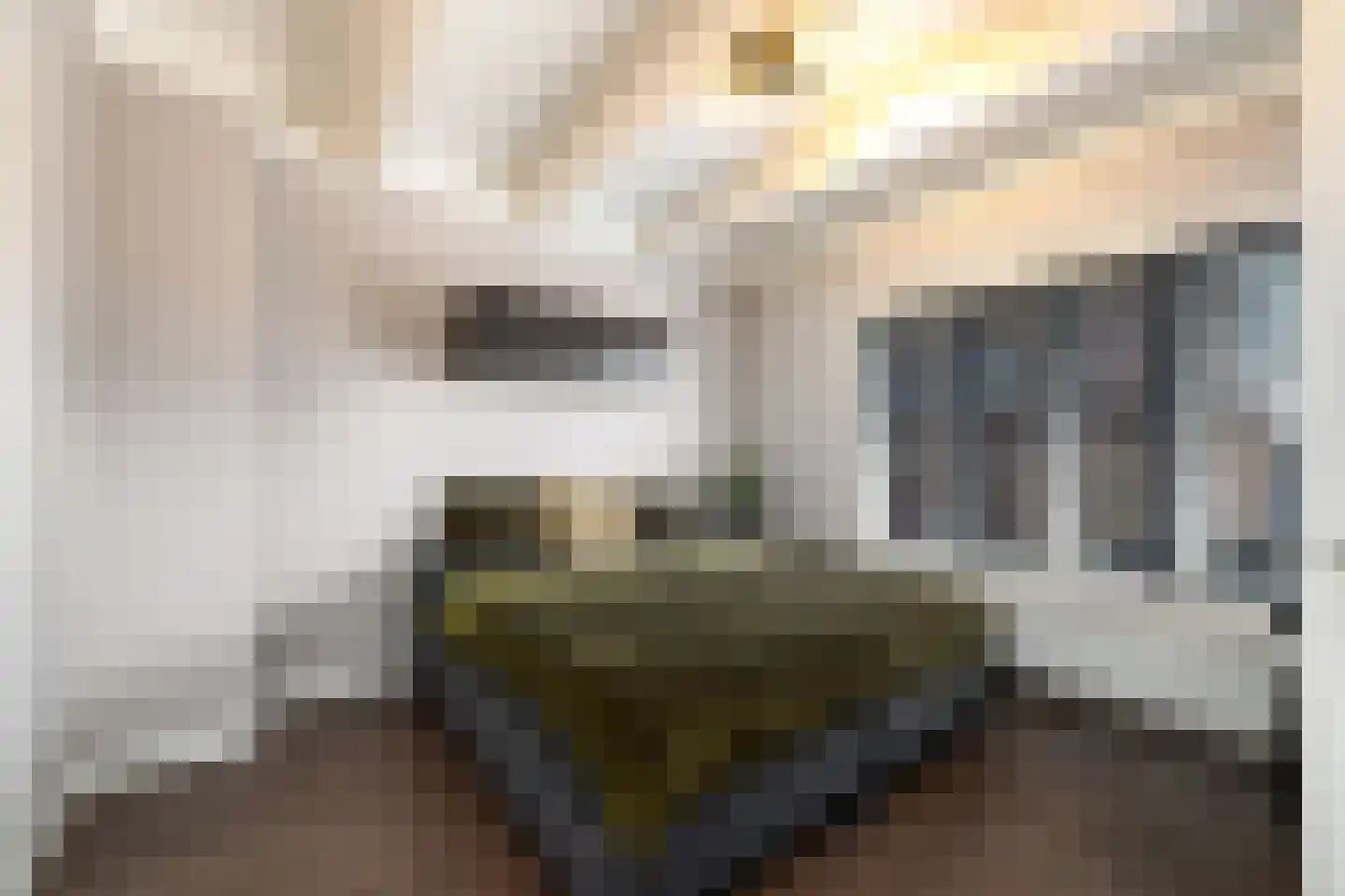 Torenstraat 19 Drachten thumbnail 20