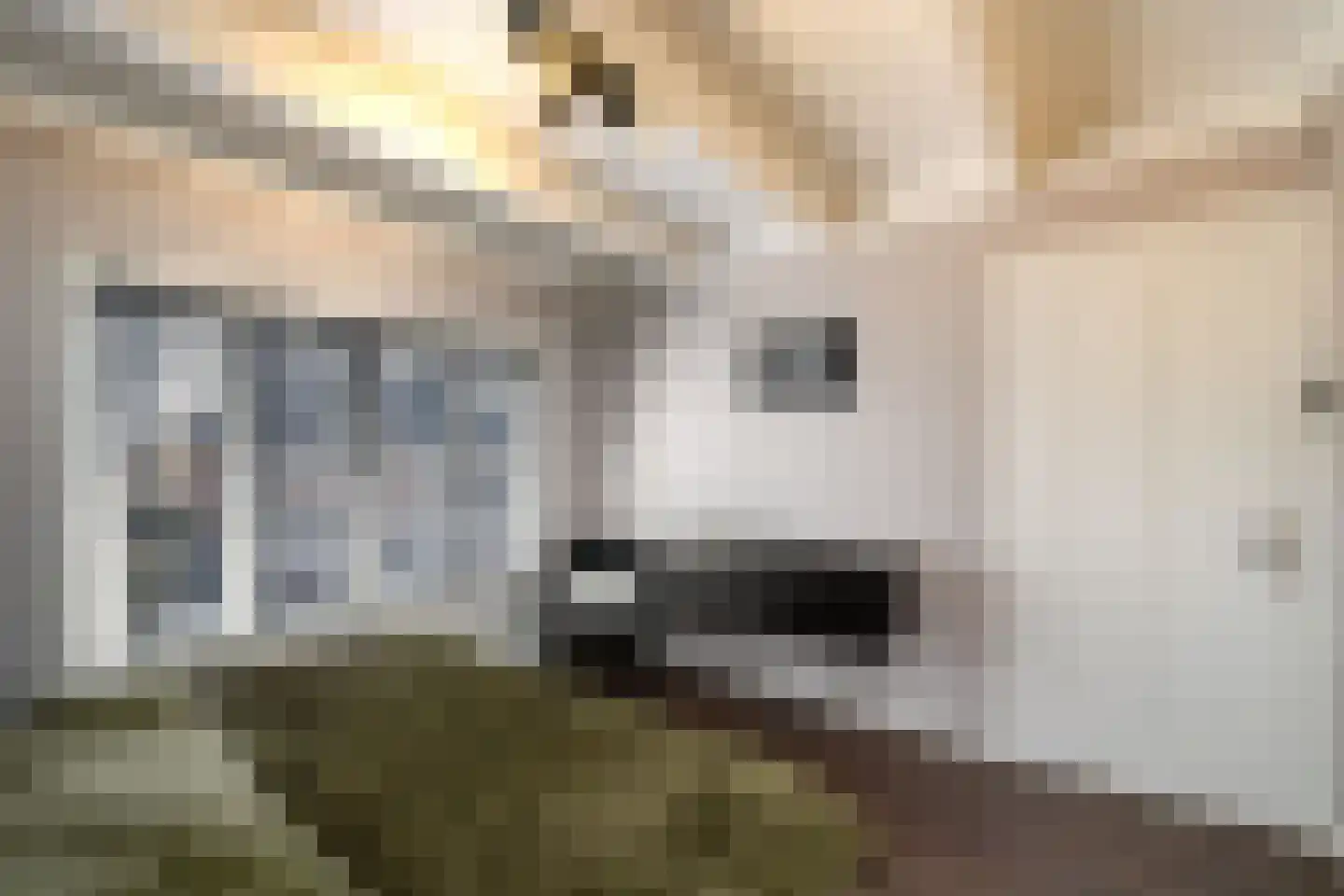 Torenstraat 19 Drachten thumbnail 21