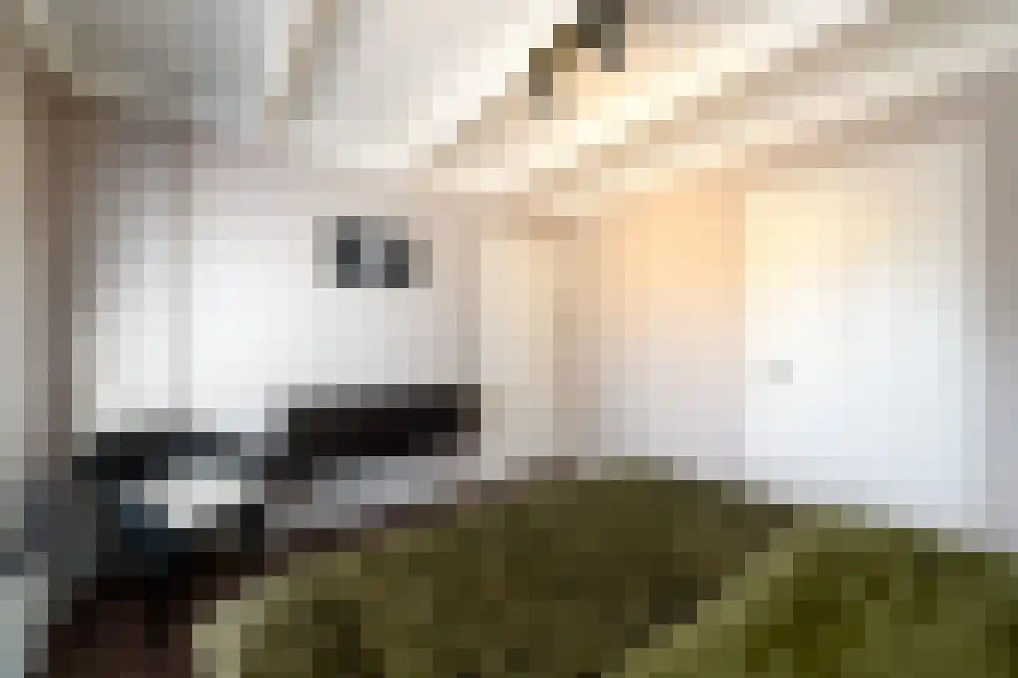Torenstraat 19 Drachten thumbnail 22