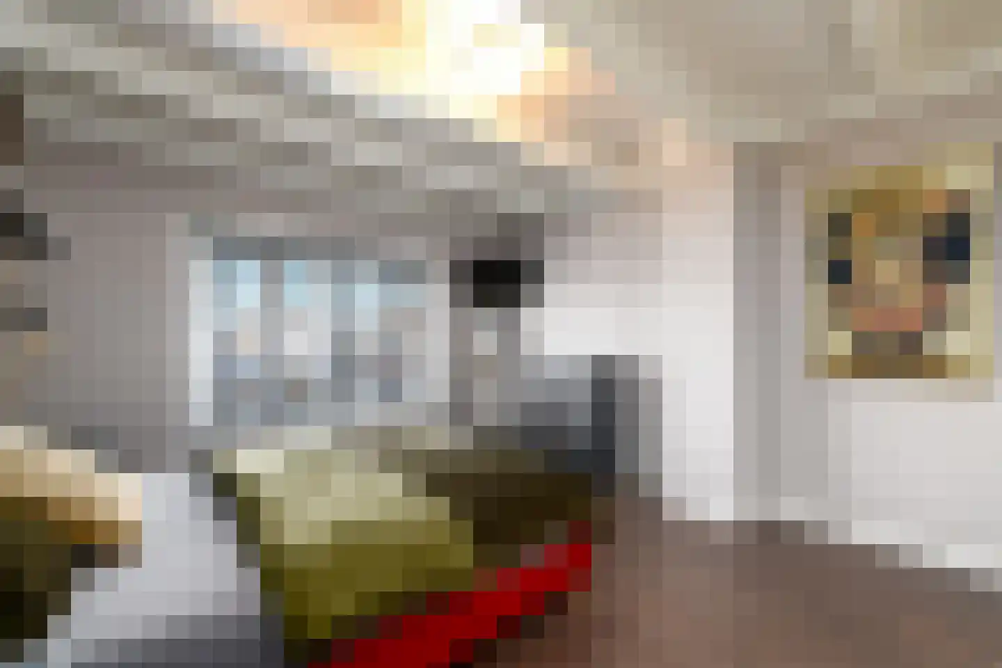 Torenstraat 19 Drachten thumbnail 23