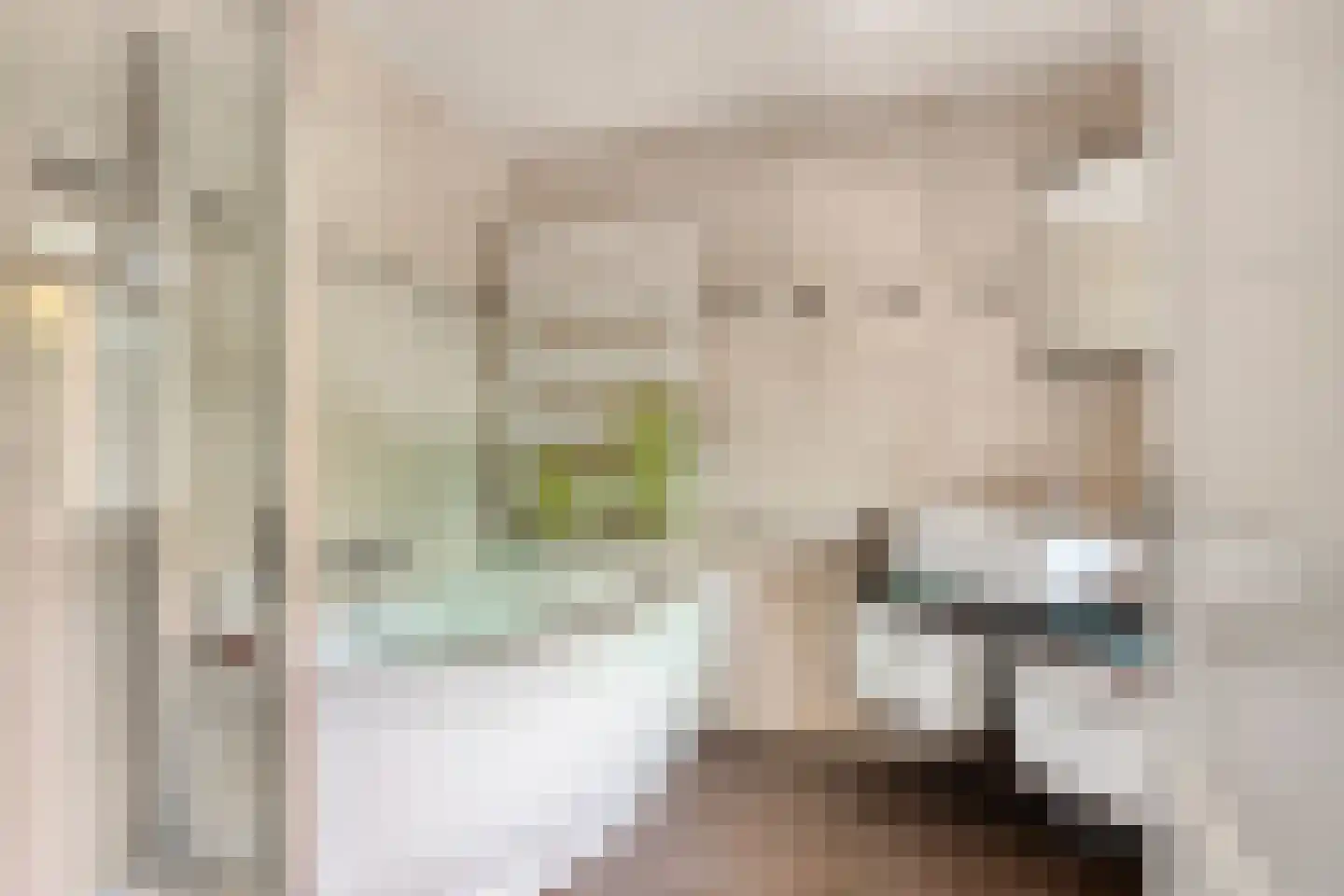 Torenstraat 19 Drunen thumbnail 10