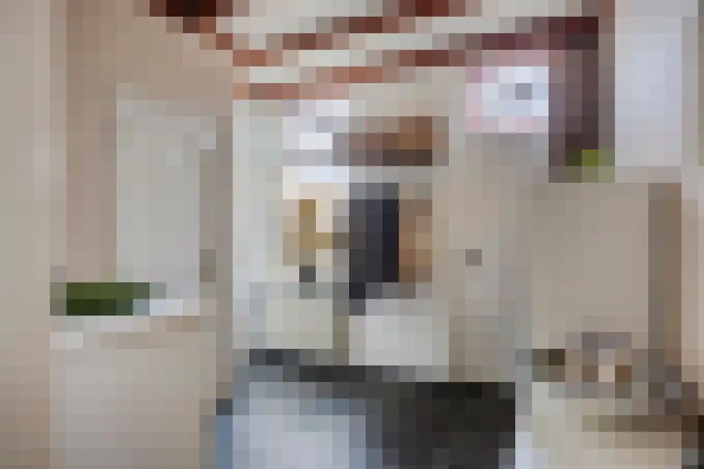 Torenstraat 19 Drunen thumbnail 12