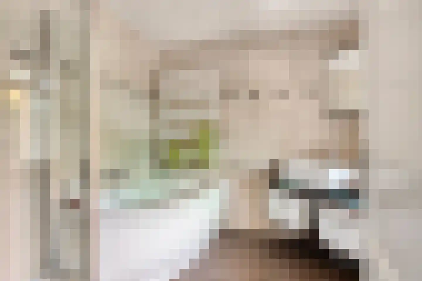 Torenstraat 19 Drunen thumbnail 13