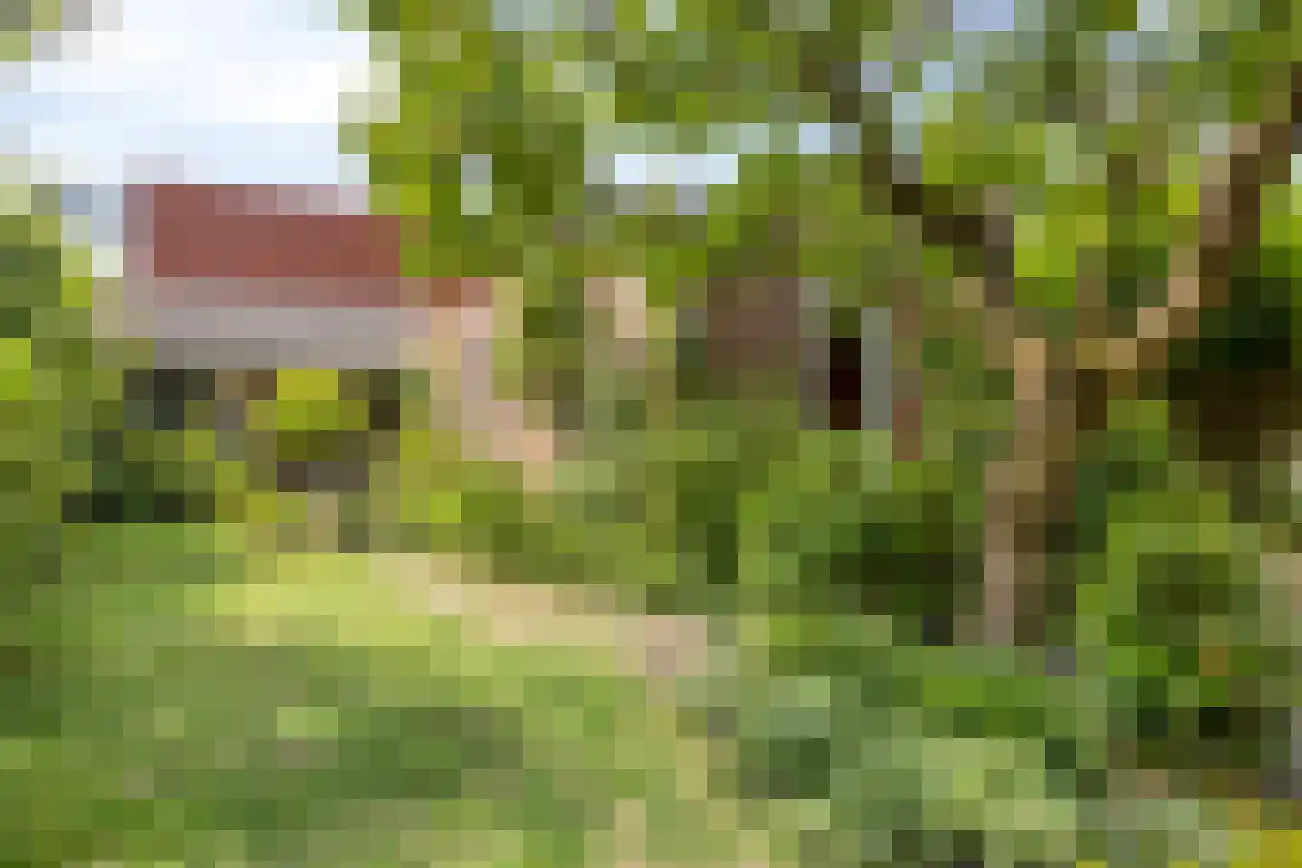 Torenstraat 19 Drunen thumbnail 23