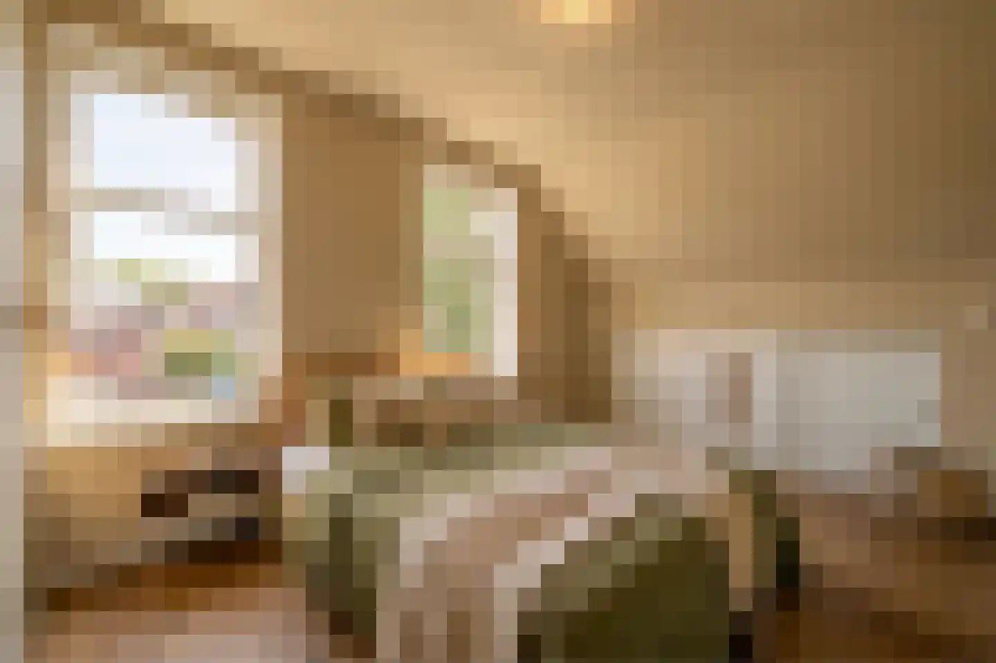 Torenstraat 19 Drunen thumbnail 24