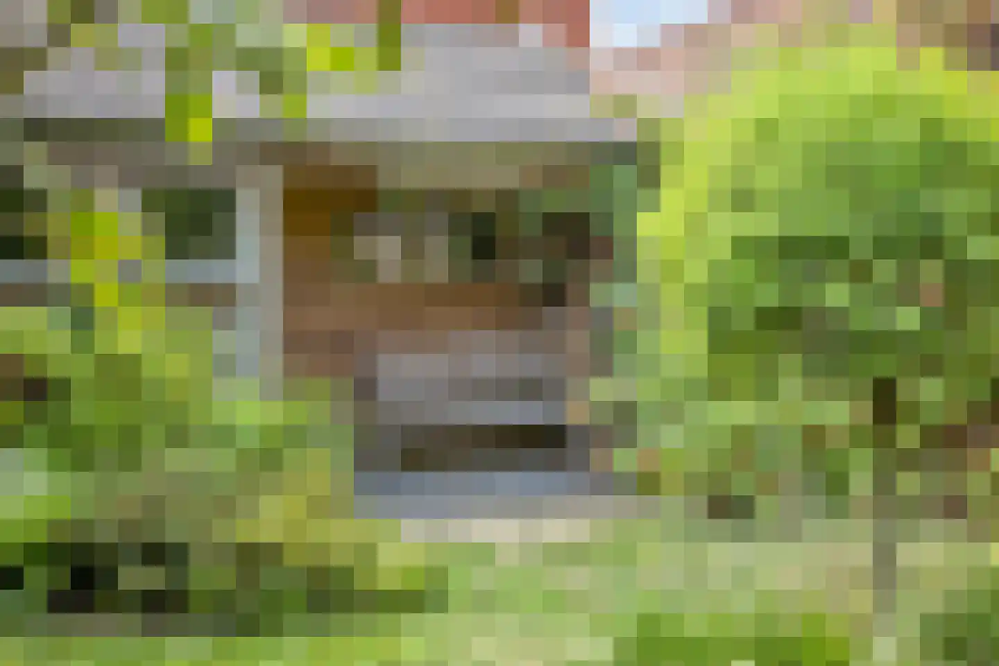 Torenstraat 19 Drunen thumbnail 31