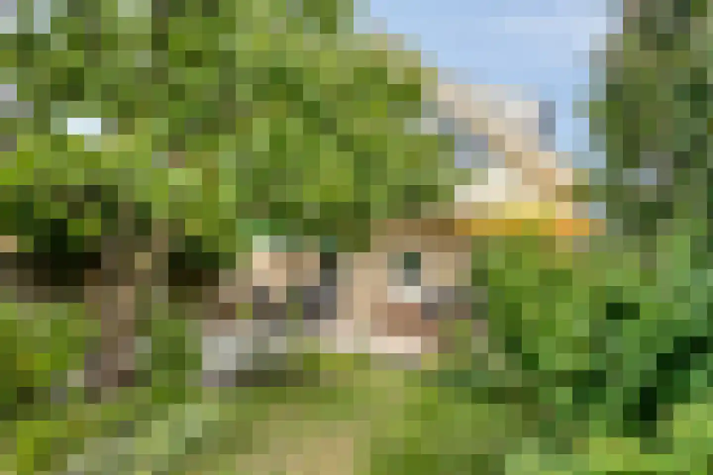 Torenstraat 19 Drunen thumbnail 33