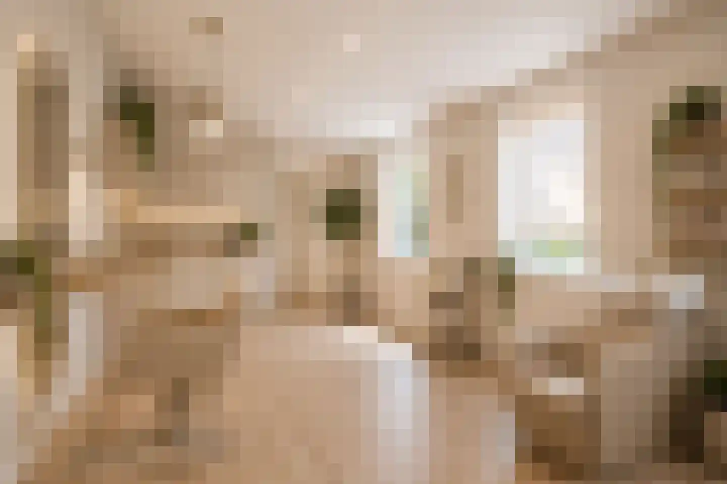 Torenstraat 19 Drunen thumbnail 35