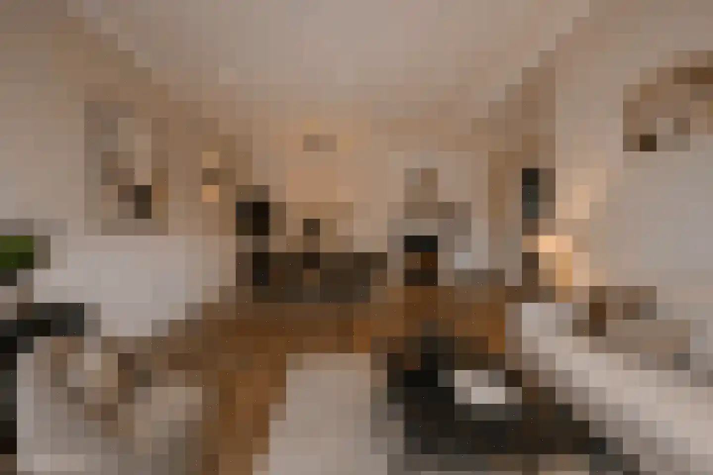 Torenstraat 19 Drunen thumbnail 4