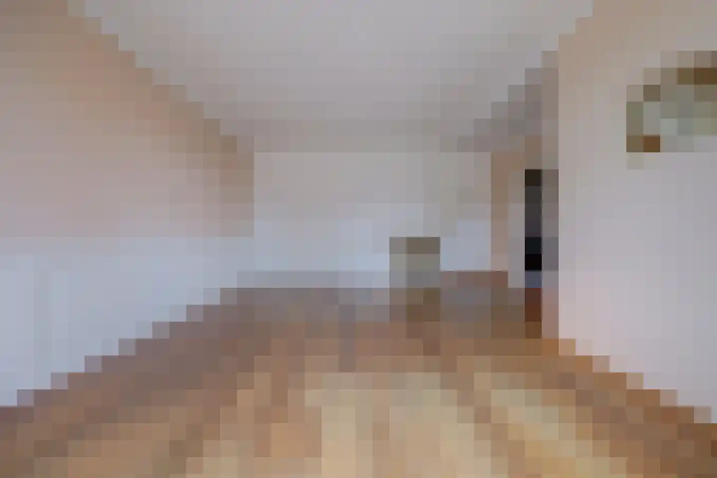 Torenstraat 19 Drunen thumbnail 5