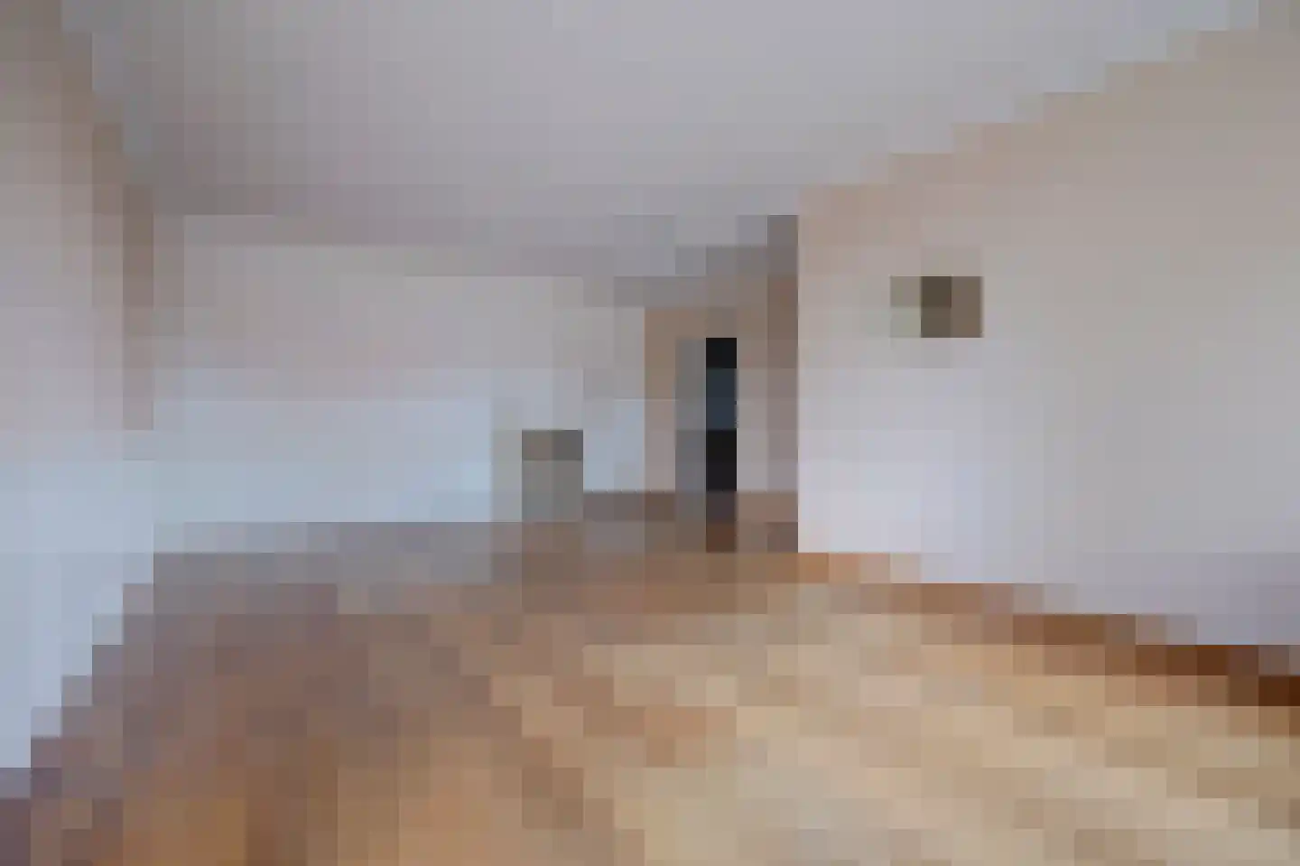 Torenstraat 19 Drunen thumbnail 6