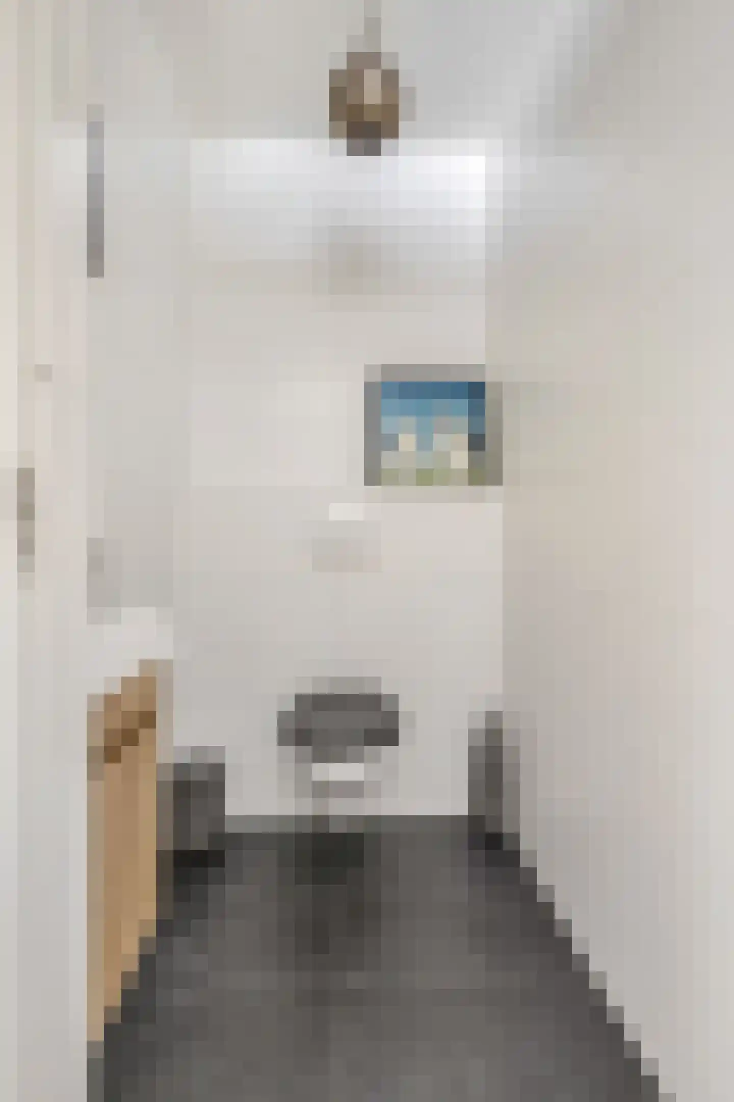 Torenstraat 19 Ede thumbnail 20