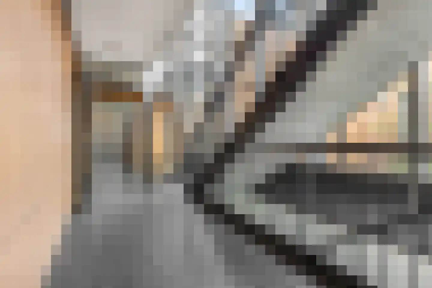 Torenstraat 19 Ede thumbnail 26
