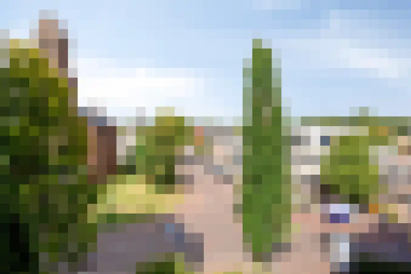 Torenstraat 19 Winterswijk thumbnail 4