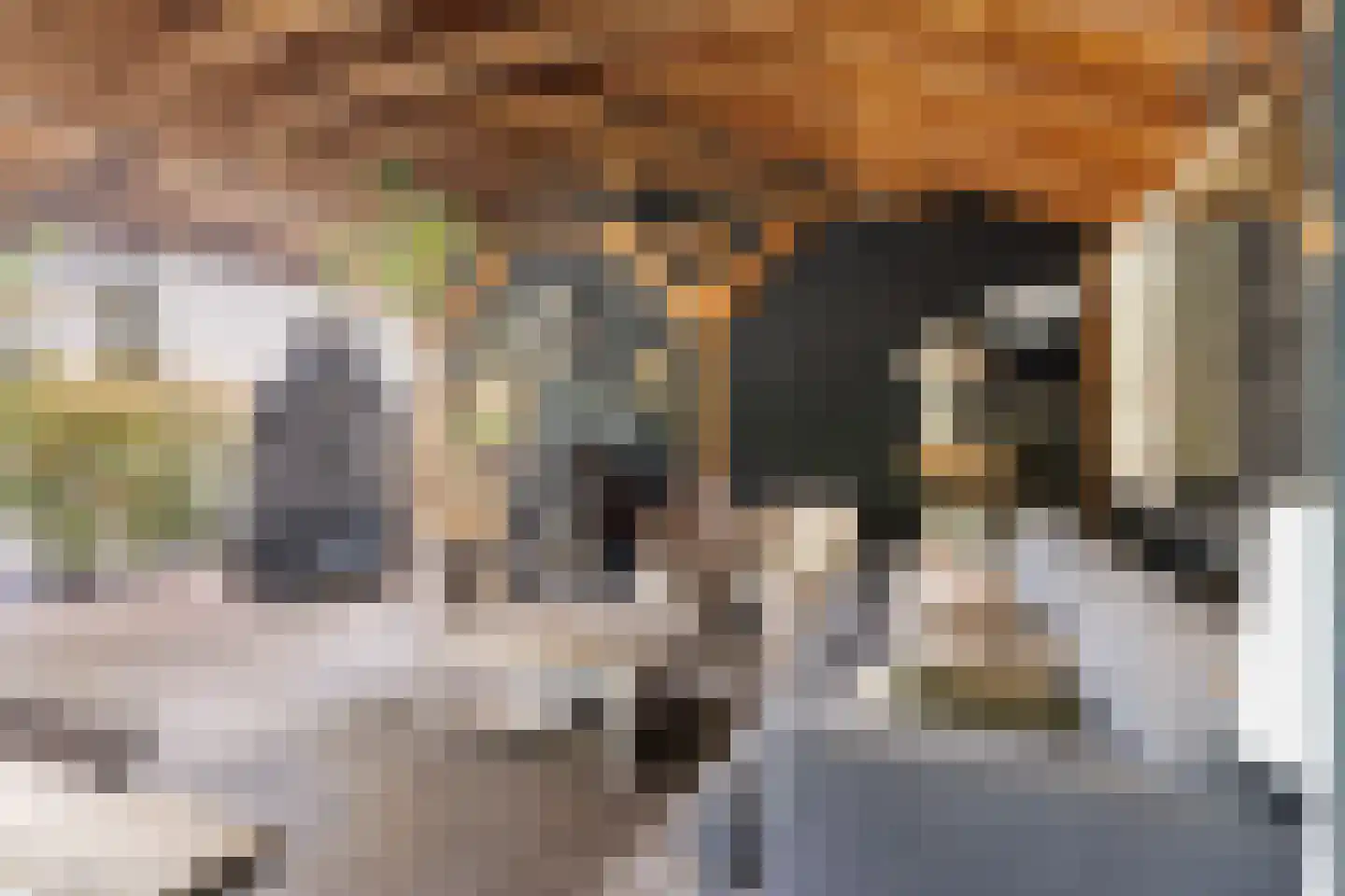 Torenstraat 2 D Soest thumbnail 33