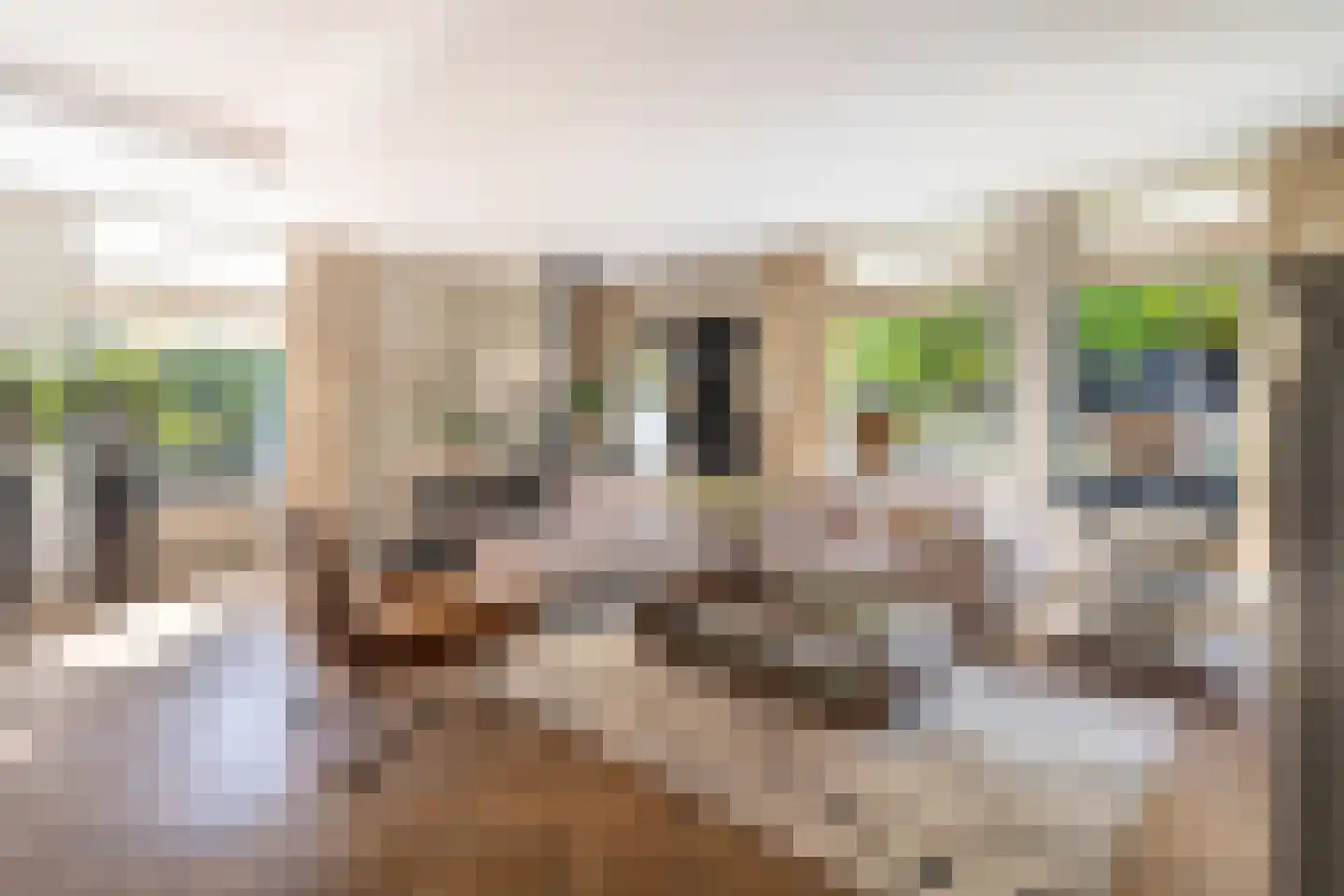 Torenstraat 2 D Soest thumbnail 7