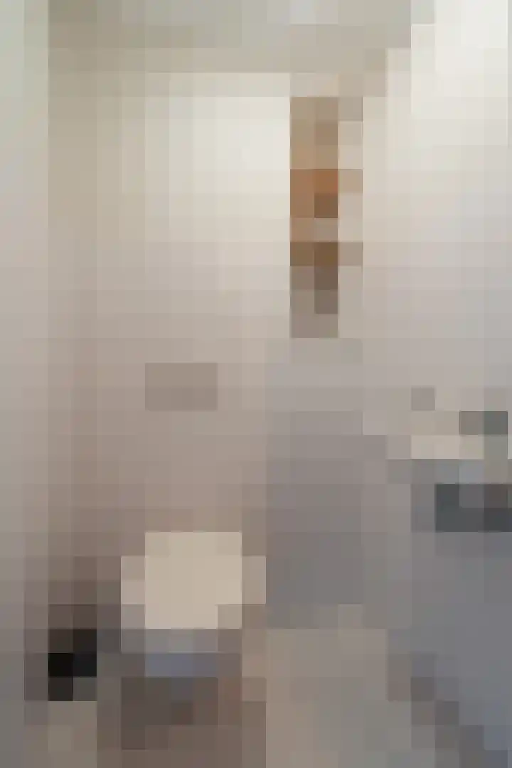 Torenstraat 2 Kampen thumbnail 16