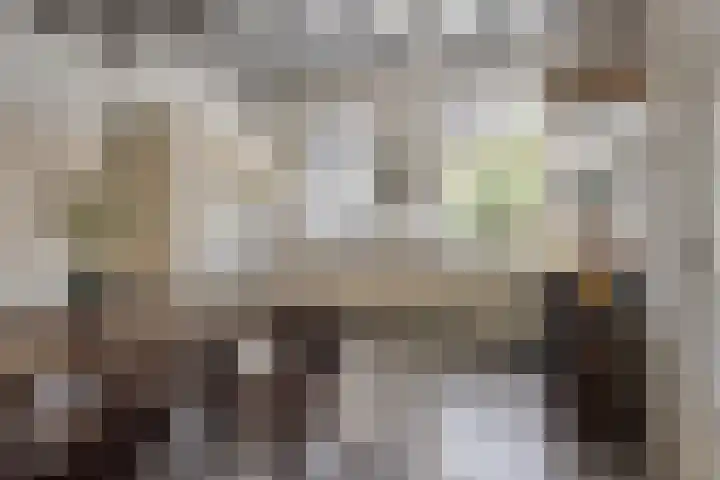 Torenstraat 2 Megen thumbnail 19