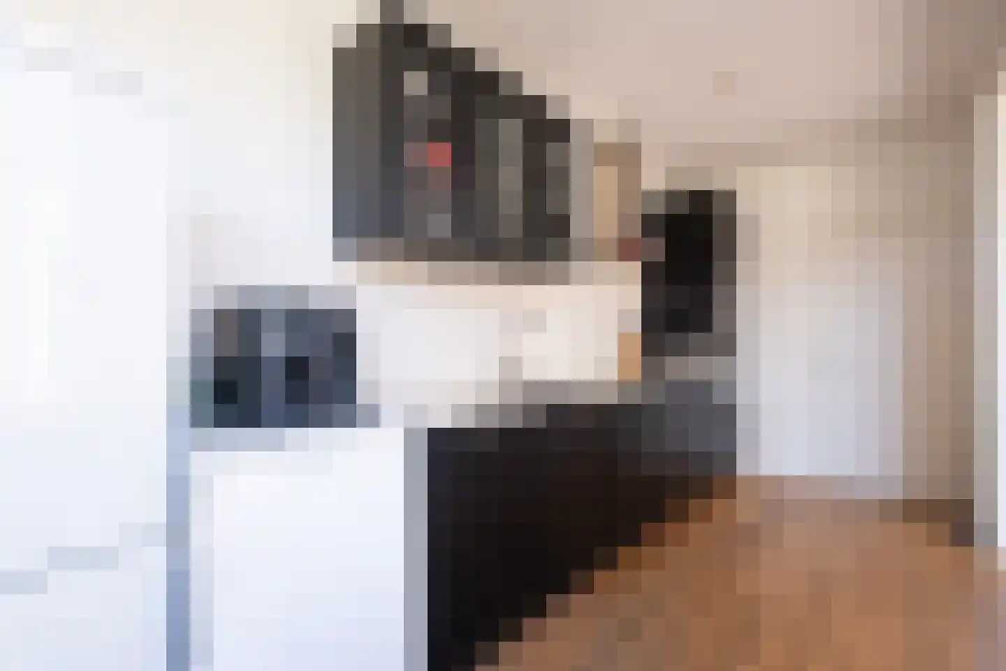 Torenstraat 21 Kolhorn thumbnail 16