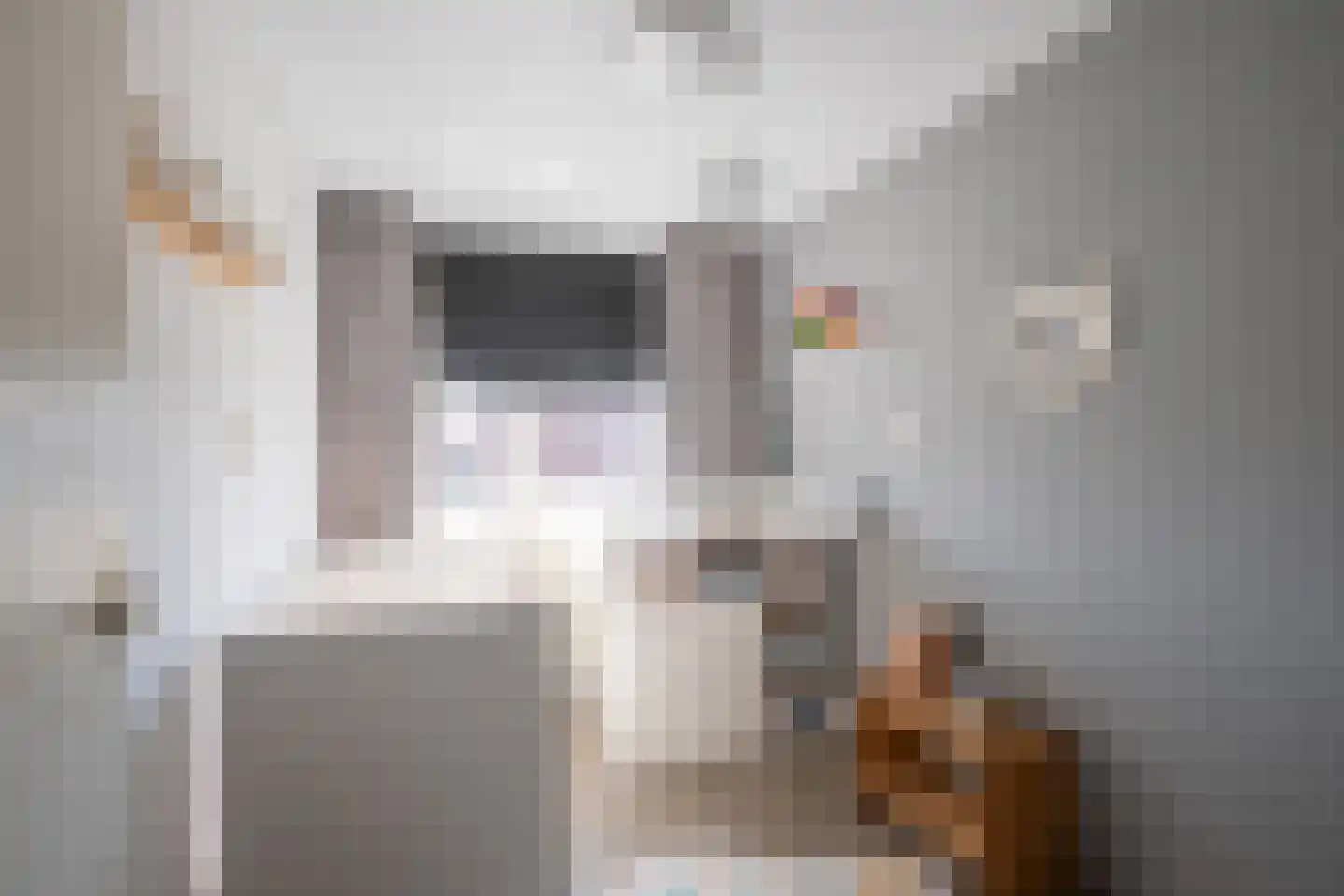 Torenstraat 21 Kolhorn thumbnail 8