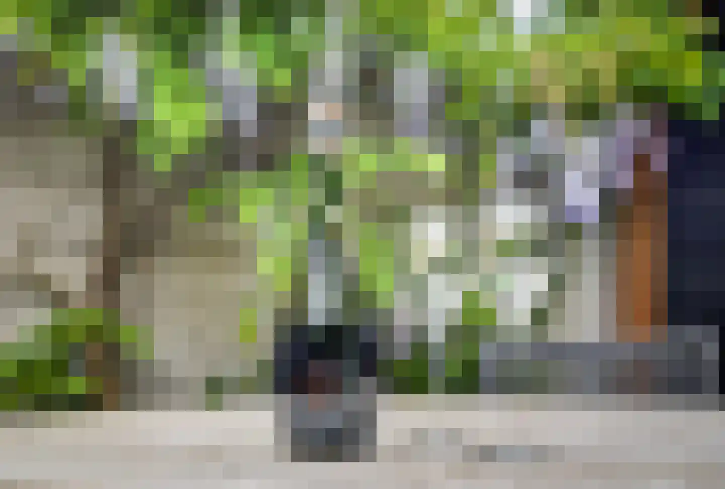 Torenstraat 21 Vught thumbnail 15