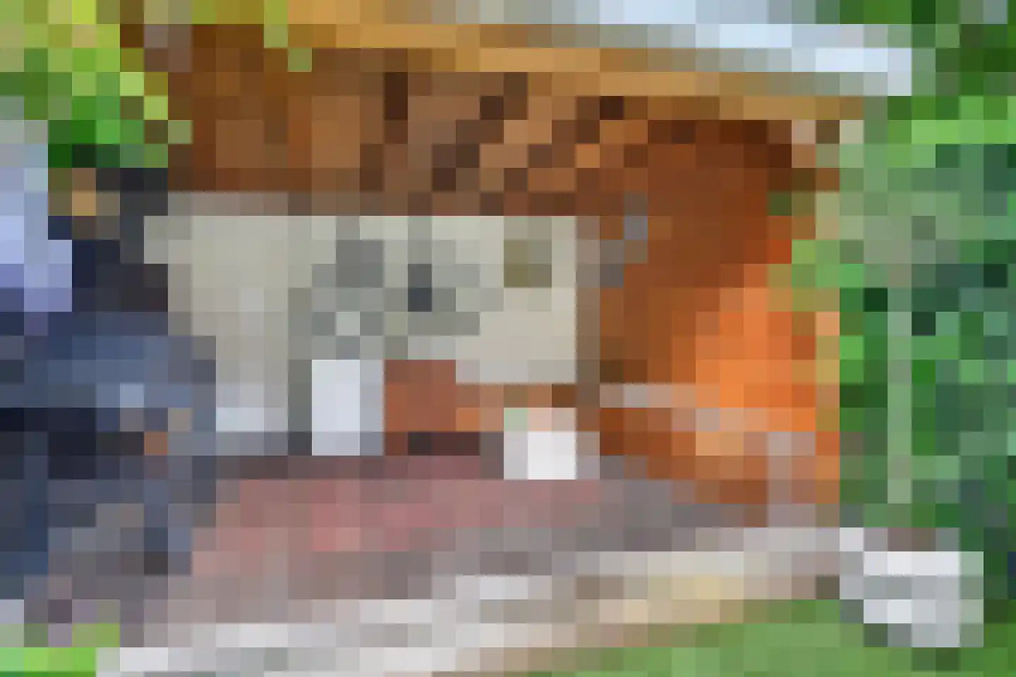 Torenstraat 21 Vught thumbnail 17