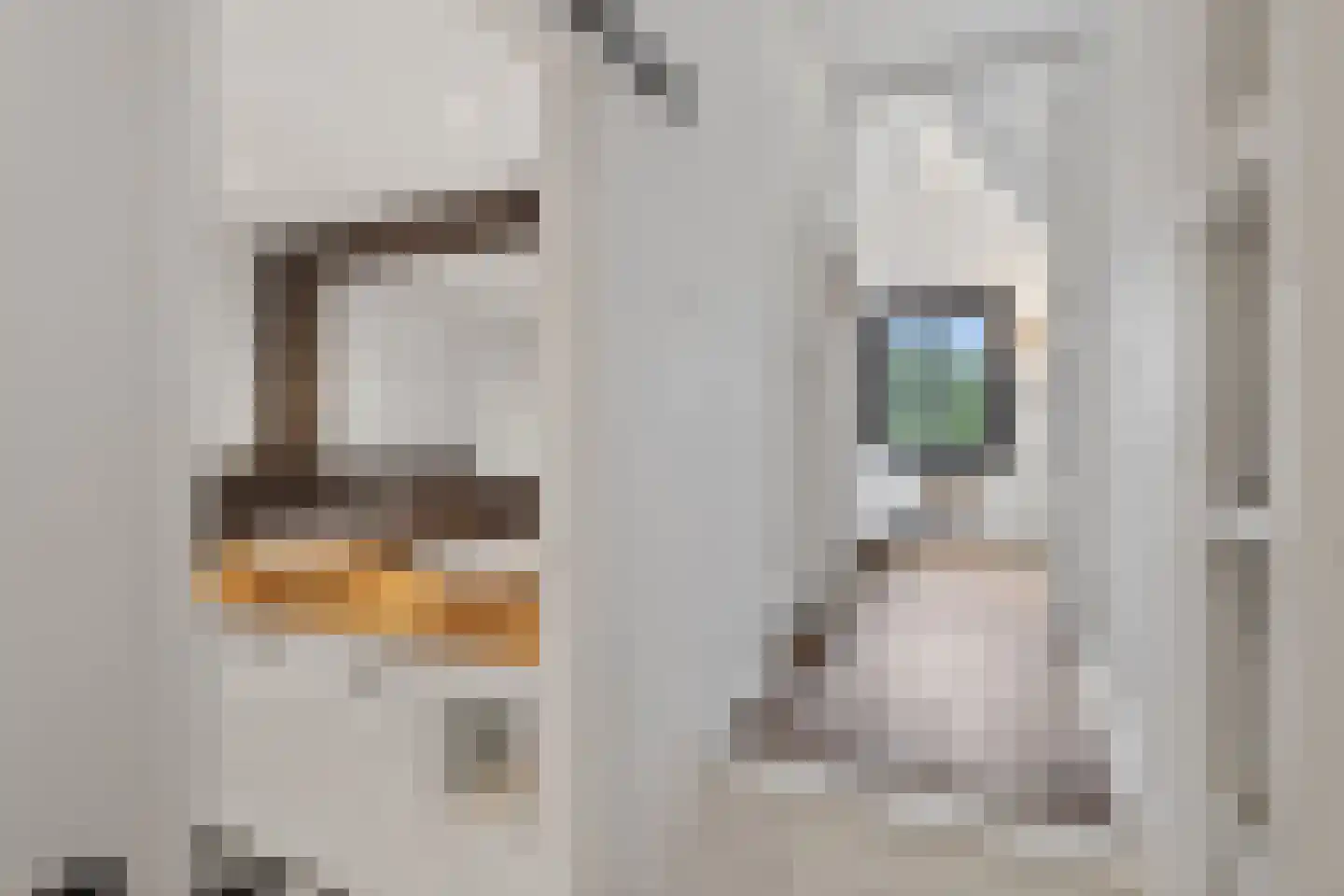 Torenstraat 21 Vught thumbnail 26