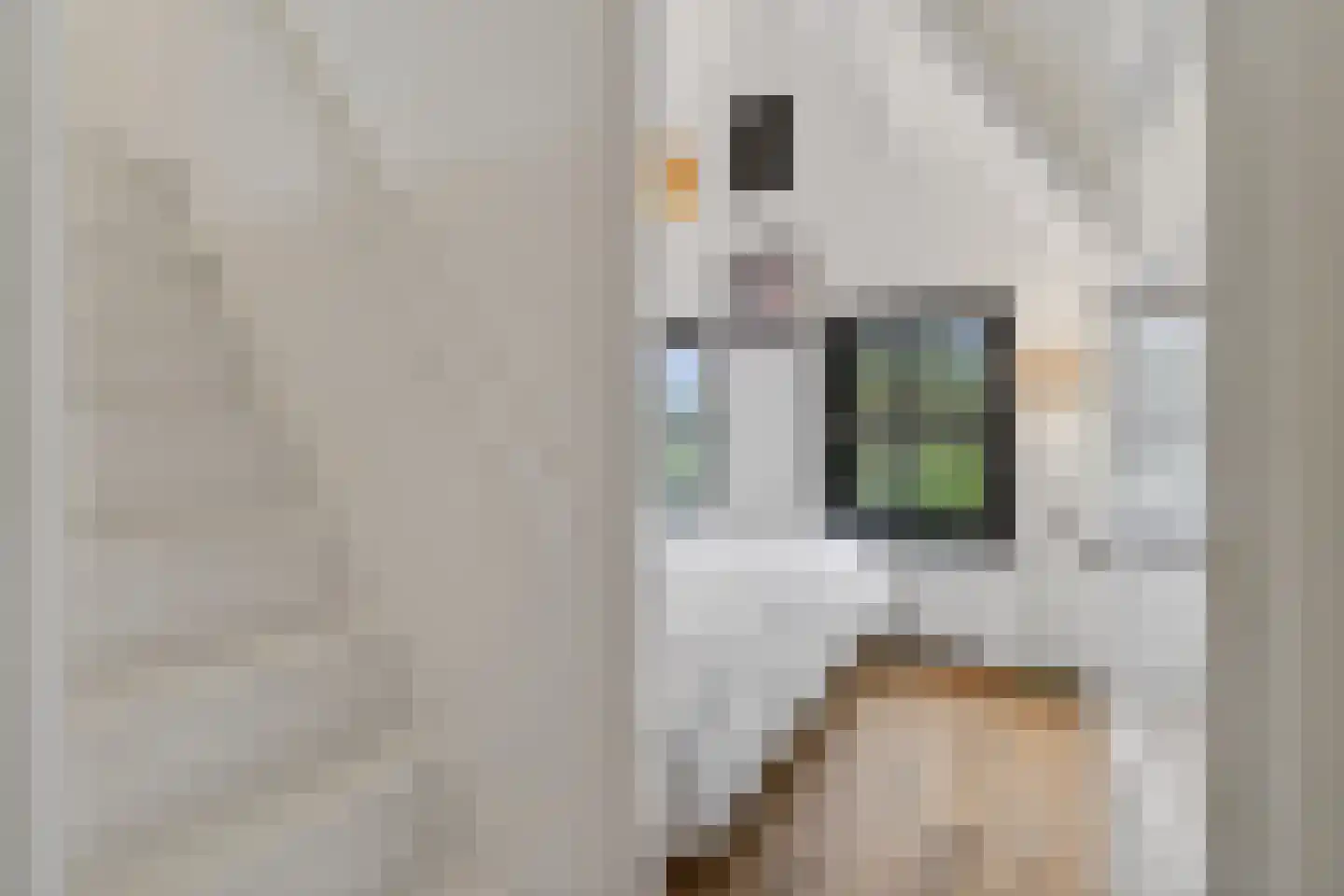 Torenstraat 21 Vught thumbnail 32