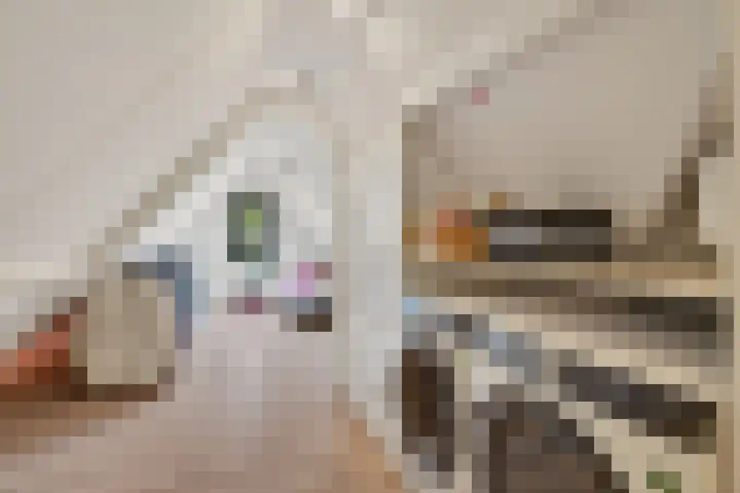Torenstraat 21 Vught thumbnail 34