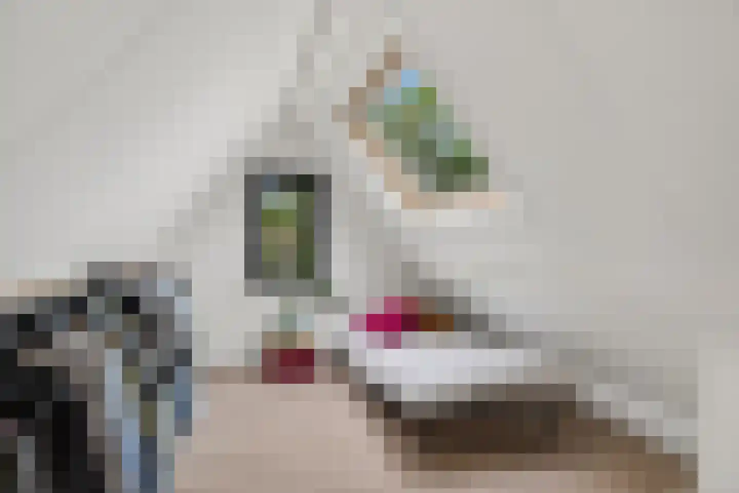 Torenstraat 21 Vught thumbnail 35