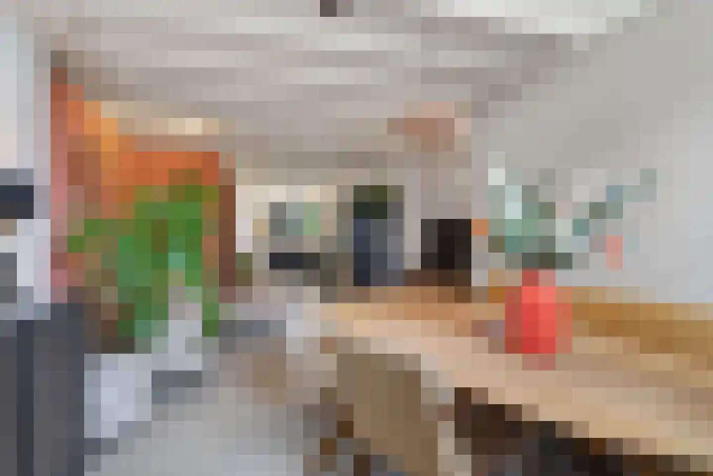 Torenstraat 21 Vught thumbnail 7