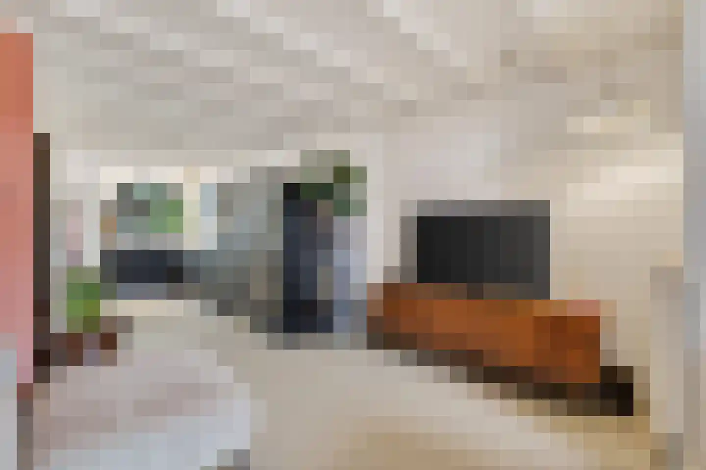 Torenstraat 21 Vught thumbnail 8
