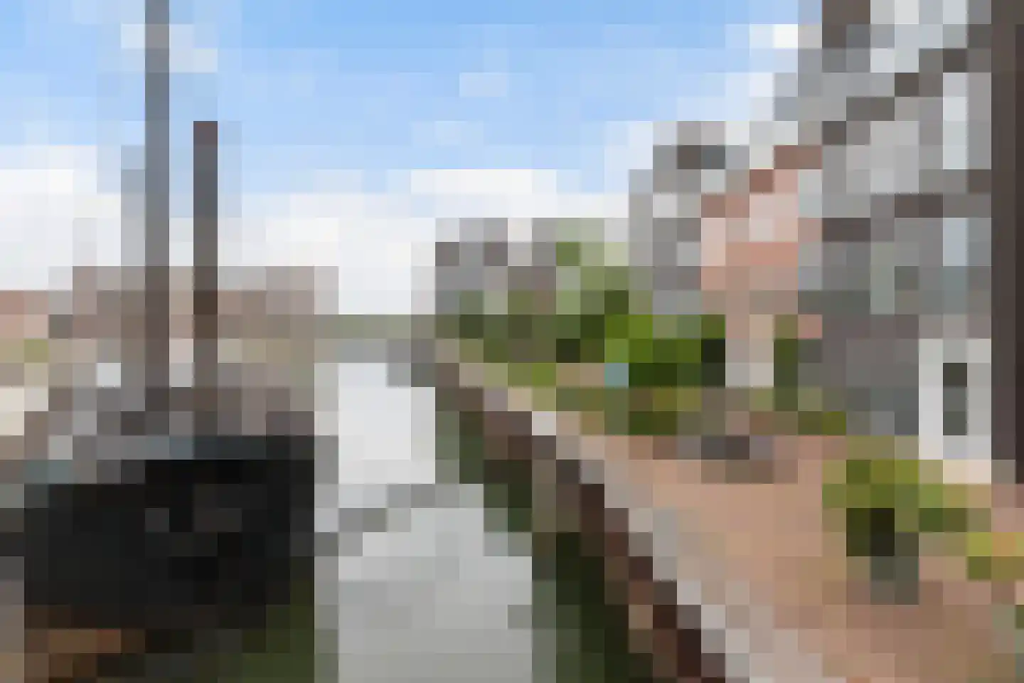 Torenstraat 221 Dordrecht thumbnail 23