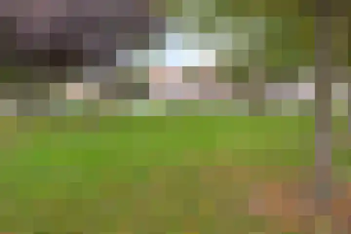 Torenstraat 23 Brunssum thumbnail 23