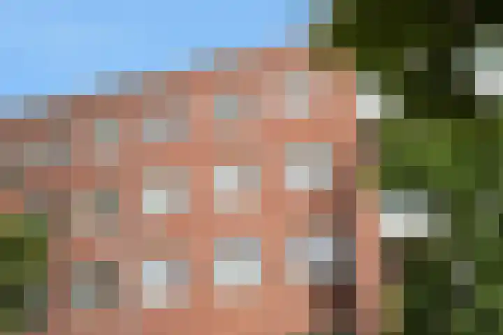 Torenstraat 23 Den Haag thumbnail 24