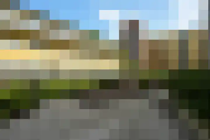 Torenstraat 23 Den Haag thumbnail 31