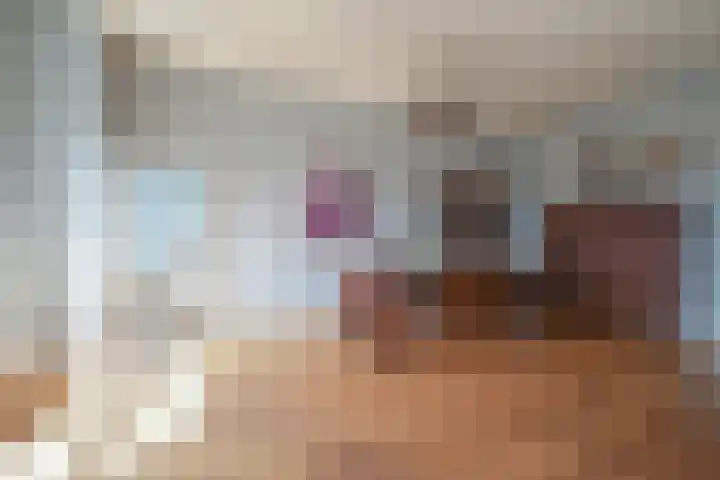 Torenstraat 23 Den Haag thumbnail 6