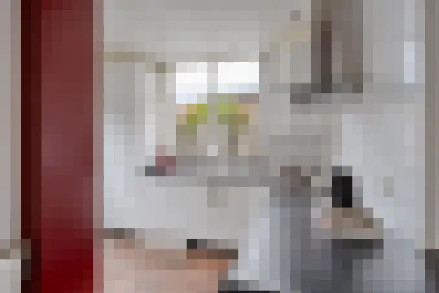 Torenstraat 24 Castricum thumbnail 13