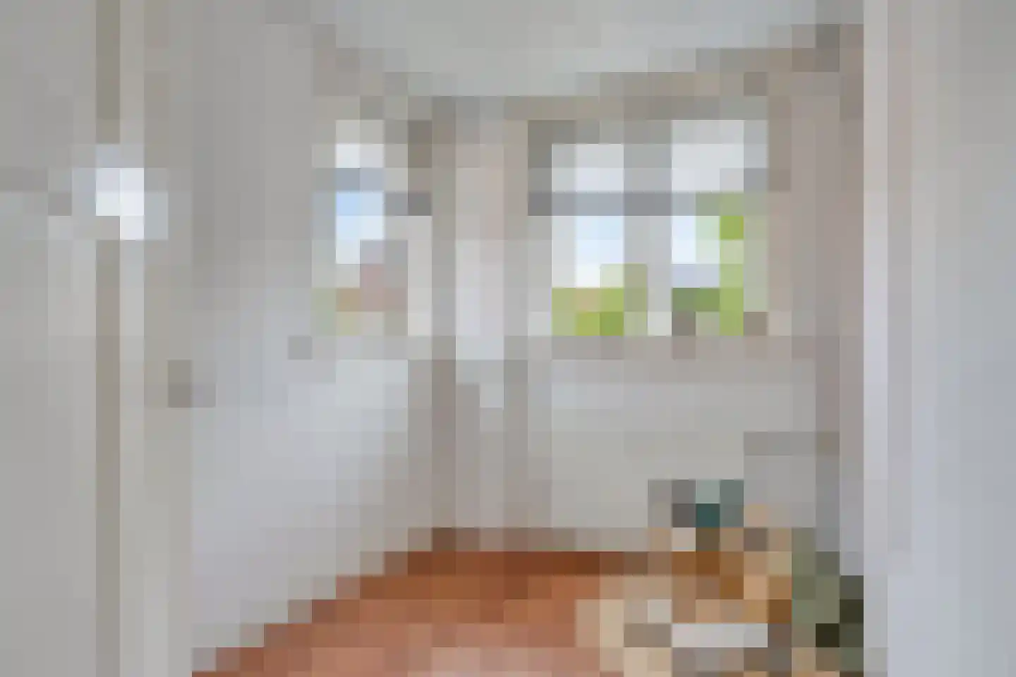 Torenstraat 24 Castricum thumbnail 24