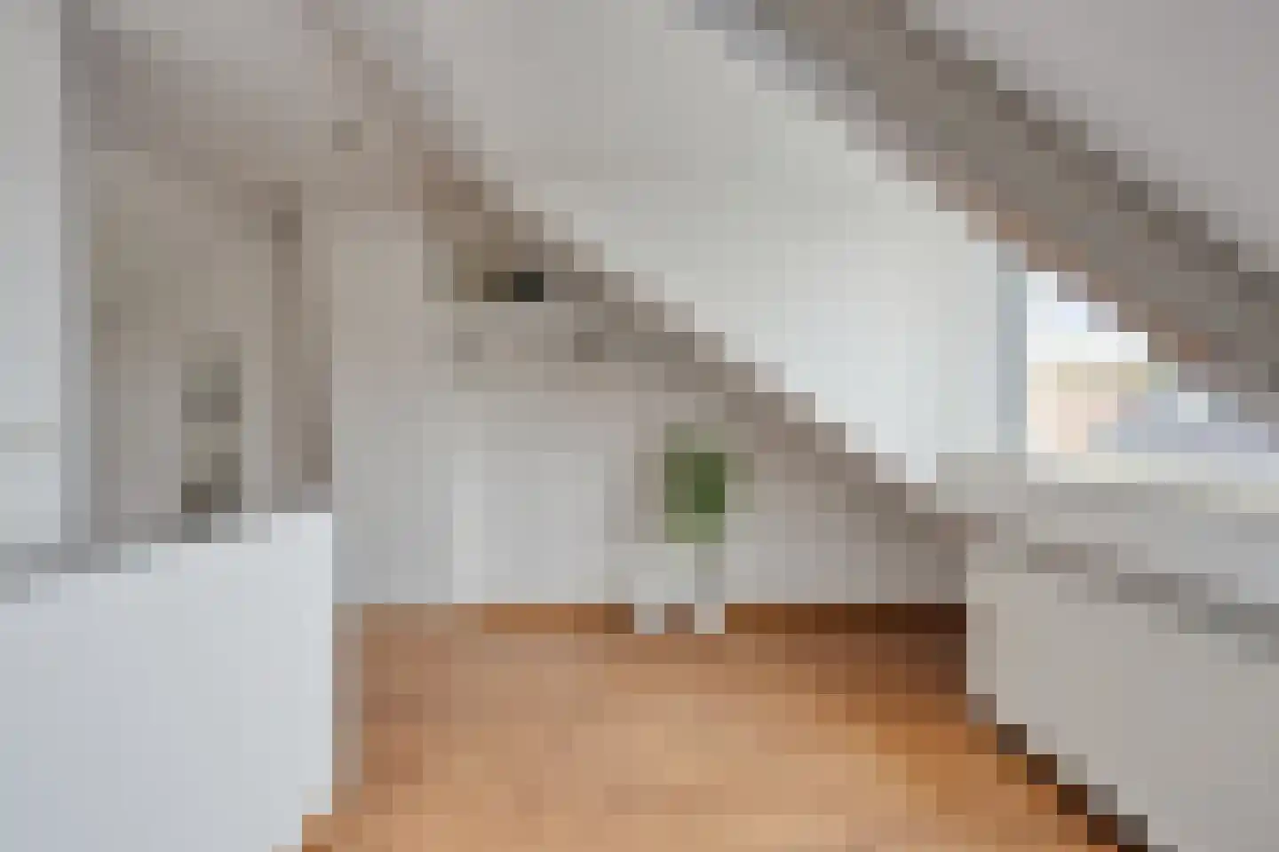 Torenstraat 24 Castricum thumbnail 29