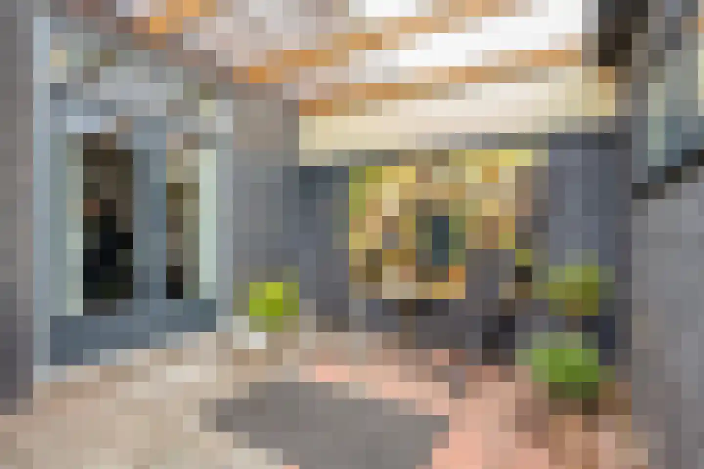 Torenstraat 24 Castricum thumbnail 35