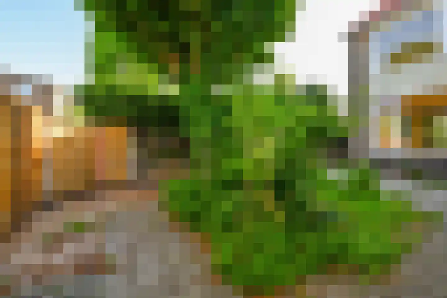 Torenstraat 24 Westzaan thumbnail 12
