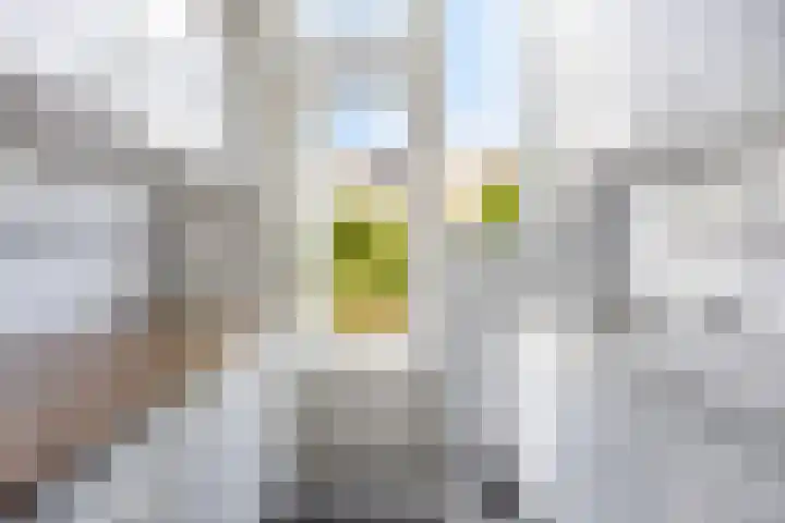 Torenstraat 27 Westkapelle thumbnail 4