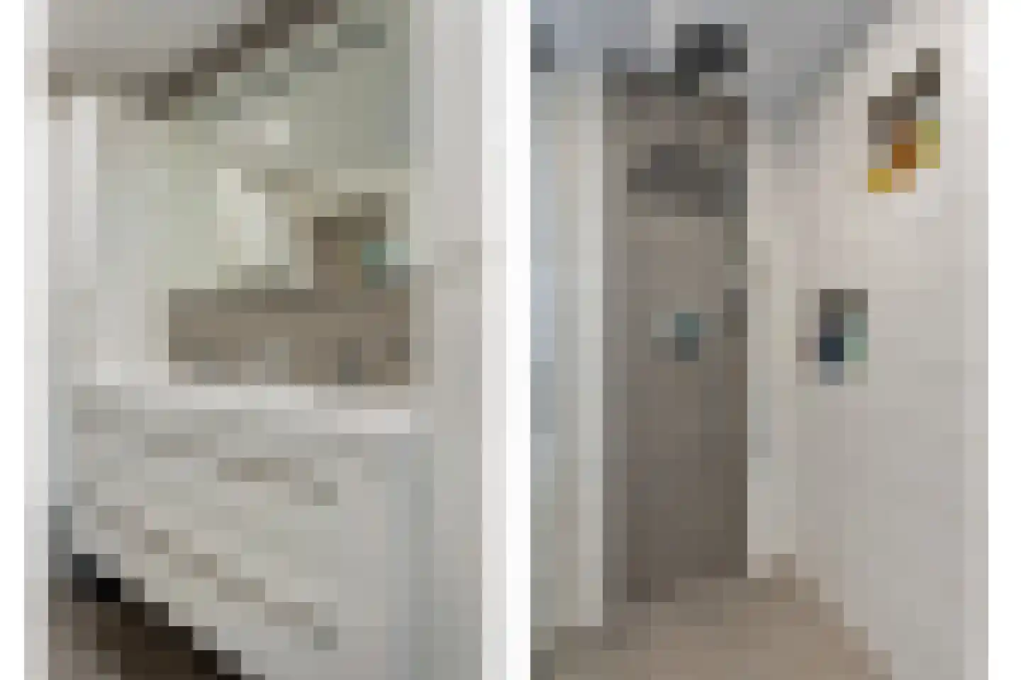 Torenstraat 3 A Vlijmen thumbnail 17