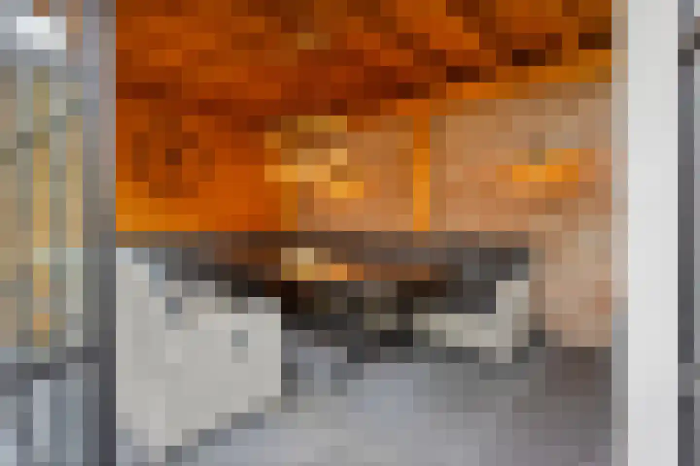 Torenstraat 3 A Vlijmen thumbnail 31