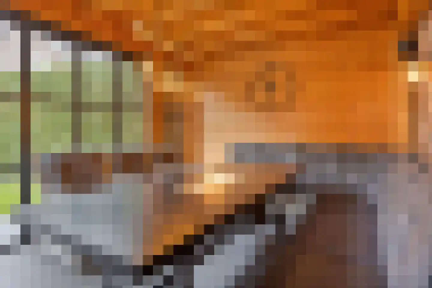 Torenstraat 3 A Vlijmen thumbnail 32